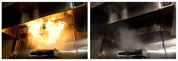 Wise Fire and Safety